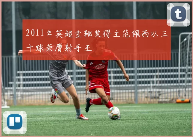 2011年英超金靴奖得主范佩西以三十球荣膺射手王