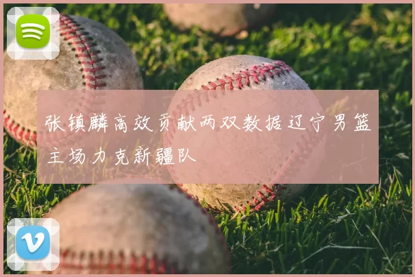 张镇麟高效贡献两双数据辽宁男篮主场力克新疆队