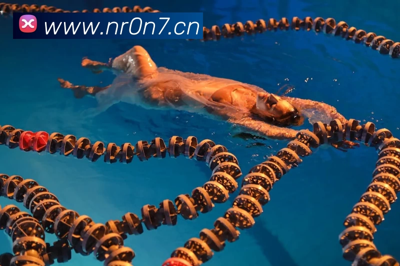 世界杯在线无插件直播发展历程